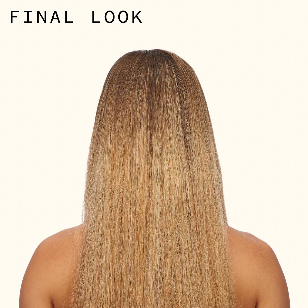 Der Schutzschild