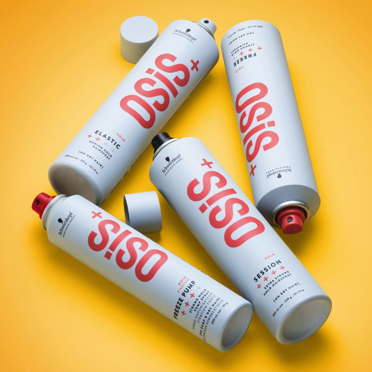 Schwarzkopf elastisch 3