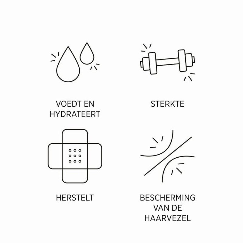 System Professional Repair Shampoo Aktion
